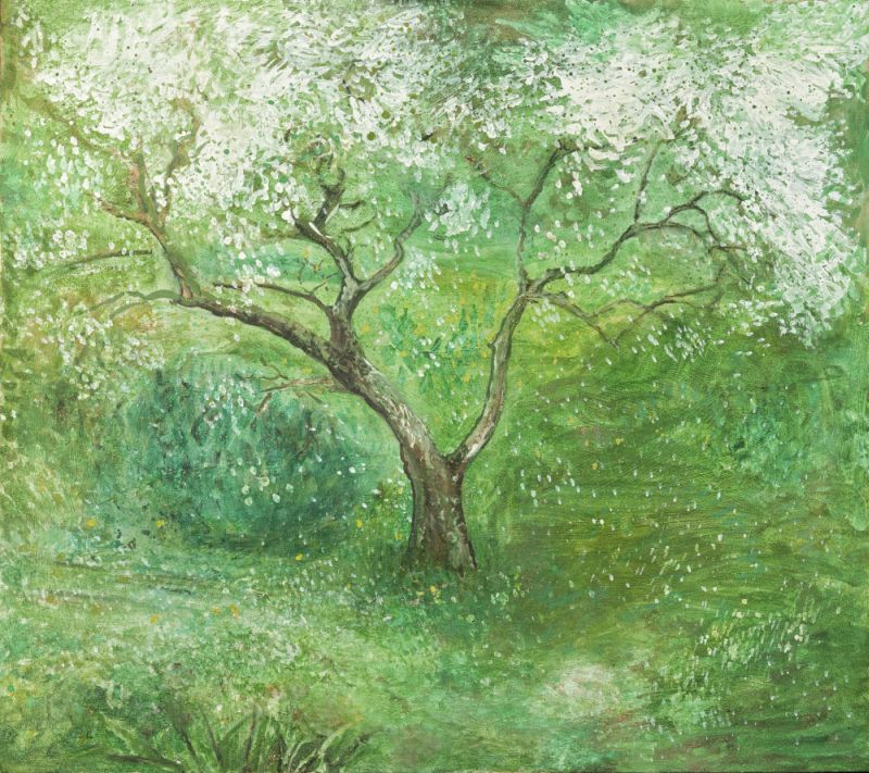 Obstblüte - Elke Wolf „Die Blüten fielen - Und still geworden sind nun. Die Menschenherzen“ (japanischer Haiku)
